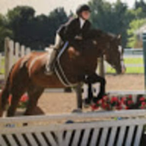 Meet your Posher, Lauren